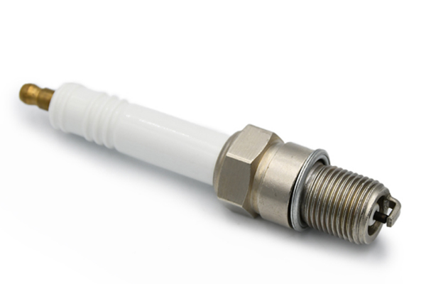 imatge-2